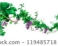 cartoon jungle liana on white background in flat style for icon 119485718