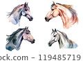 watercolor set vector illustration of horse isolsated on white background 119485719
