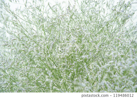 Hybrid statice white 119486012