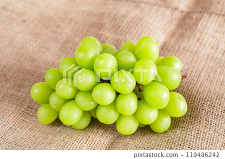 閃耀馬斯喀特 119486242