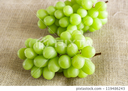 Nagano Prefecture Shine Muscat Nagano Prefecture Shine Muscat 119486243