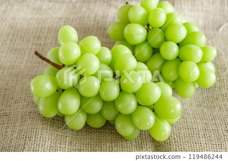 Shine Muscat 119486244