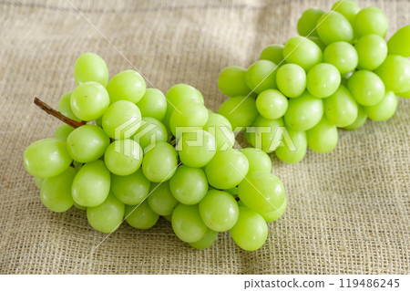 閃耀馬斯喀特 119486245