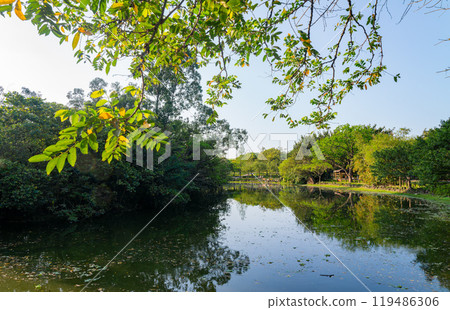 Sunny view of the landscape of Daan Forest Park Sunny view of the landscape of Daan Forest Park 119486306