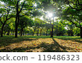 Sunny view of the landscape of Daan Forest Park 119486323