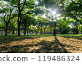 Sunny view of the landscape of Daan Forest Park 119486324