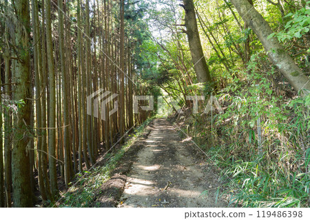 圓成寺 - 通往山口茶館的古道（柳生街道/瀧坂路） 119486398