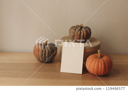 Moody autumn still life, Blank greeting card invitation mockup with orange pumpkins, gift box on wooden table. Halloween Thanksgiving holiday concept. Fall stationery, side view. Seasonal template. Moody autumn still life, Blank greeting card invitation mockup with orange pumpkins, gift box on wooden table. Halloween Thanksgiving holiday concept. Fall stationery, side view. Seasonal template. 119486577