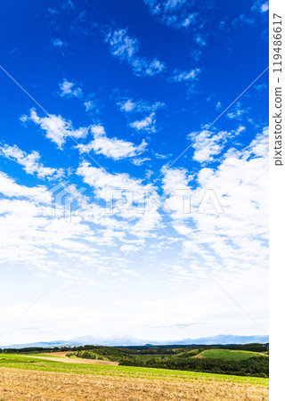 Biei, Hokkaido in autumn 119486617