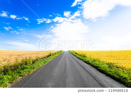 北海道美瑛的秋天道路 119486618