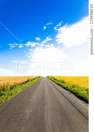 北海道美瑛的秋天道路 119486619