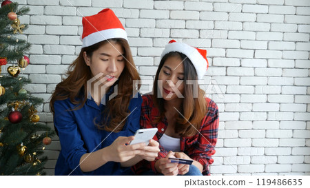 Two siblings Women online shopping use digital tablet paying via Creditcard on Christmas holidays. Happy season xmas holiday shopping gift for party. Happy new year Christmas holiday concept Two siblings Women online shopping use digital tablet paying via Creditcard on Christmas holidays. Happy season xmas holiday shopping gift for party. Happy new year Christmas holiday concept 119486635