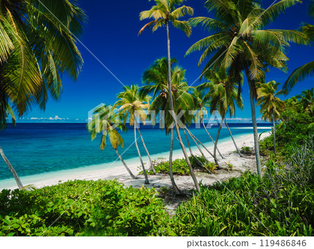 Paradise tropical beach with coconut palm trees on Maldive island. Travel vacation banner. Paradise tropical beach with coconut palm trees on Maldive island. Travel vacation banner. 119486846
