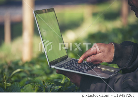Smart farmer using laptop in eco green farm sustainable quality control. Close up Hand typing laptop computer quality control plant tree. Farmer hands using technology in eco Farmland biotechnology 119487265