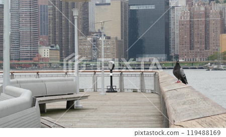New York City waterfront skyline, Manhattan Midtown riverfront skyscrapers. Cityscape from Queens. 119488169