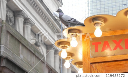 New York City Grand Central Terminal 42 street, Manhattan, USA. Yellow taxi kiosk telephone call box 119488272