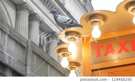 New York City Grand Central Terminal 42 street, Manhattan, USA. Yellow taxi kiosk telephone call box 119488293