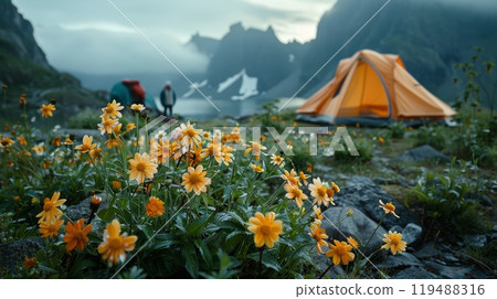 focus on flowers, tourist tent in mountains valley. soft backlight, light fog. concept of travel and adventure. focus on flowers, tourist tent in mountains valley. soft backlight, light fog. concept of travel and adventure. 119488316