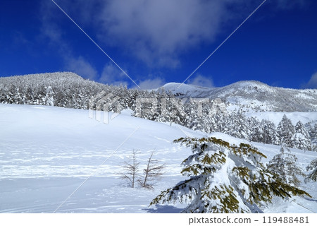 Scenery of Kitayokodake in midwinter (Kitayatsugatake Ropeway summit station) Scenery of Kitayokodake in midwinter (Kitayatsugatake Ropeway summit station) 119488481