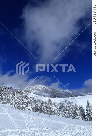 Scenery of Kitayokodake in midwinter (Kitayatsugatake Ropeway summit station) 119488489