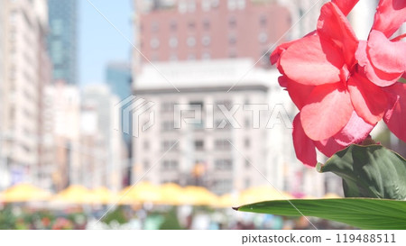 New York City Manhattan Broadway, 23 street, 5 avenue crossroad. Worth, Madison Square, Flatiron USA New York City Manhattan Broadway, 23 street, 5 avenue crossroad. Worth, Madison Square, Flatiron USA 119488511