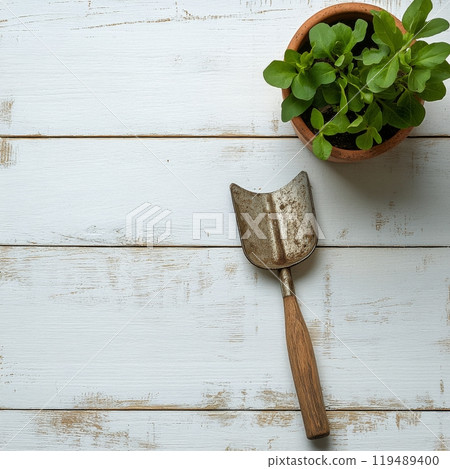 Gardening tools and potted flowers arranged on a wooden surface for a peaceful gardening moment 119489400