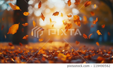 Golden autumn leaves dancing in the sunlight during a peaceful evening in a park 119490562