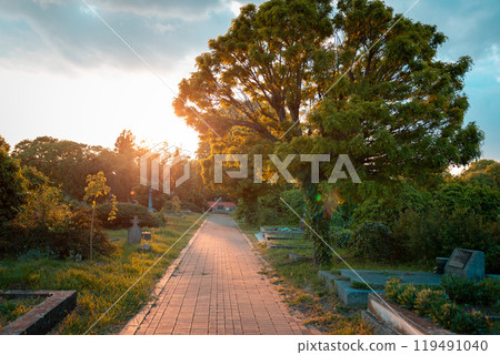 The path leading straight through the Christian cemetery in the rays of the setting sun. A secluded atmosphere The path leading straight through the Christian cemetery in the rays of the setting sun. A secluded atmosphere 119491040