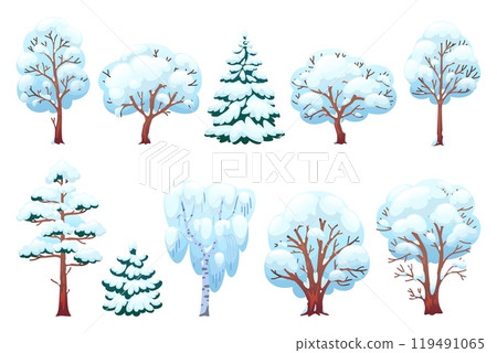 Cartoon winter trees. Snowy branches, coniferous and deciduous plants, christmas forest elements, pines, firs and birches, cold season nature. Vector flat style isolated illustration set Cartoon winter trees. Snowy branches, coniferous and deciduous plants, christmas forest elements, pines, firs and birches, cold season nature. Vector flat style isolated illustration set 119491065