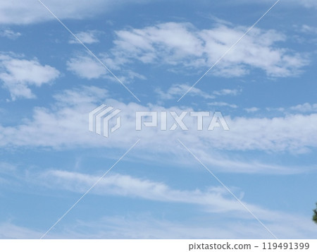 稻毛海濱公園的藍天白雲 稻毛海濱公園的藍天白雲 119491399
