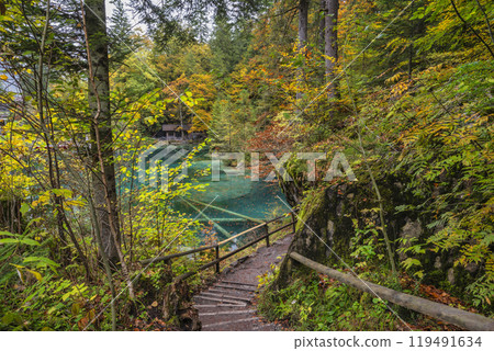 Blausee Switzerland, nature landscape at blue lake in autumn season 119491634