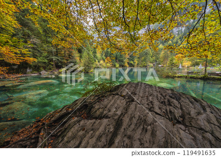 Blausee Switzerland, nature landscape at blue lake in autumn season 119491635