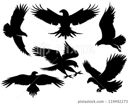Eagle silhouette. Flying hawk. Black and white freedom symbol. Falconry hunting. Flight predator soaring. Animal with wings. American heraldic sign. Graphic print. Vector fauna icons set Eagle silhouette. Flying hawk. Black and white freedom symbol. Falconry hunting. Flight predator soaring. Animal with wings. American heraldic sign. Graphic print. Vector fauna icons set 119492273