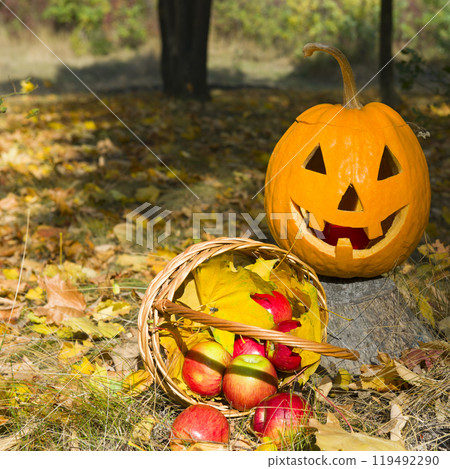 Pumpkin - head and basket with apples on a background of yellow leaves. Pumpkin - head and basket with apples on a background of yellow leaves. 119492290