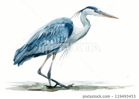 Heron, bird, Pastel-colored, in hand-drawn style, watercolor, isolated on white background 119493453