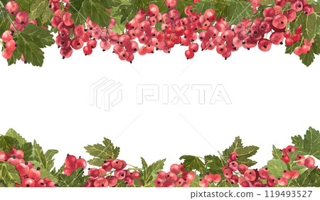 Watercolor board of red currant isolated on white. Bright botanical illustration hand drawn. Watercolor board of red currant isolated on white. Bright botanical illustration hand drawn. 119493527