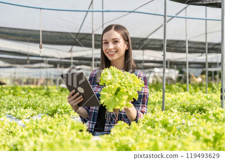 Young Woman Farmer Holding Fresh Organic Lettuce and Tablet in Greenhouse on Organic Vegetable Farm Young Woman Farmer Holding Fresh Organic Lettuce and Tablet in Greenhouse on Organic Vegetable Farm 119493629