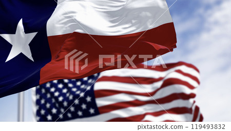 Texas state flags waving in the wind with american flag 119493832