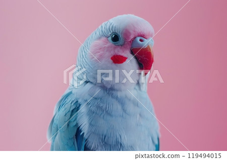 Parakeet, isolated on pastel background, stock photographic style 119494015