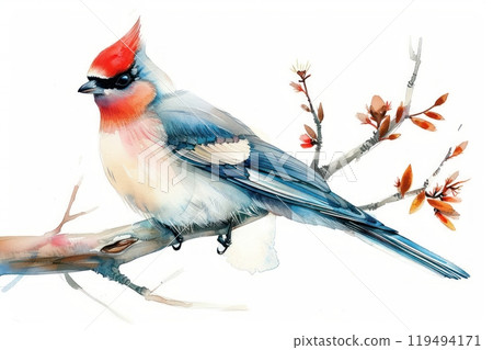 Waxwing, bird, Pastel-colored, in hand-drawn style, watercolor, isolated on white background 119494171