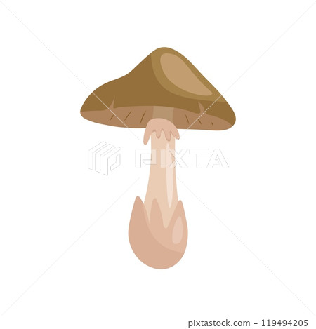 Pale grebe mushroom. Vector illustration of mushroom Pale grebe mushroom. Vector illustration of mushroom 119494205