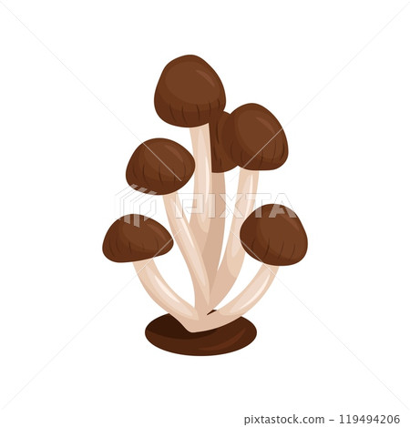 Autumn honey fungus. Vector illustration of brown mushroom Autumn honey fungus. Vector illustration of brown mushroom 119494206