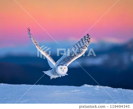 A snowy owl soars silently over a frozen tundra, blending with the snow. AI Generated. A snowy owl soars silently over a frozen tundra, blending with the snow. AI Generated. 119494345