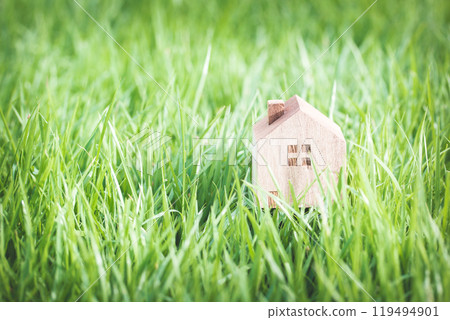 Wooden House Model Nestled in Fresh Grass: Symbolizing Harmony Between Nature and Home 119494901