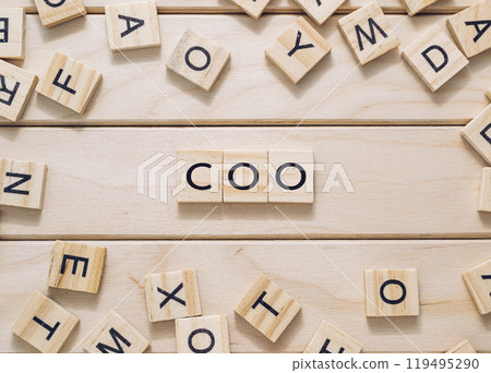 Wooden blocks spelling COO on a light wooden background 119495290