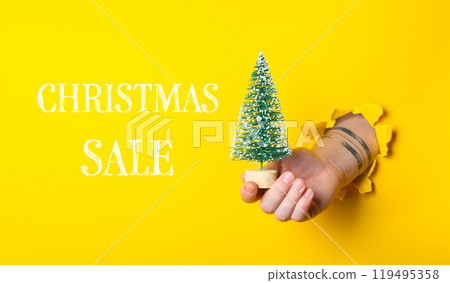 Hand holding a Christmas tree in front of a yellow background Hand holding a Christmas tree in front of a yellow background 119495358