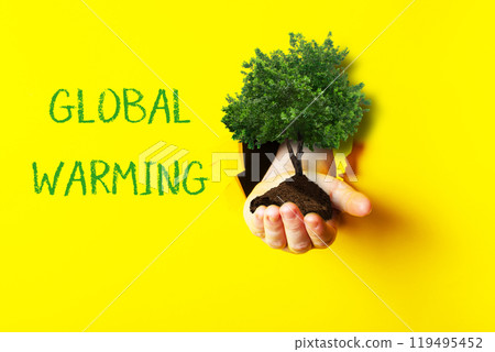 A hand holding a tree in front of a yellow background 119495452