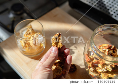 A piece of dried Amanita muscaria mushroom cap held in the hand 119495535