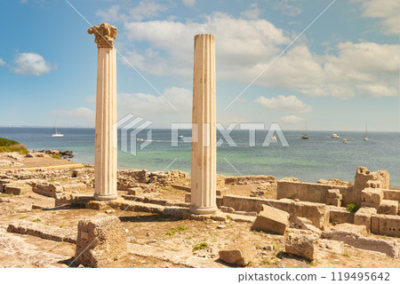 Columns in the Phoenician city of Tharros 119495642
