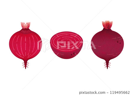 Red beet 119495662